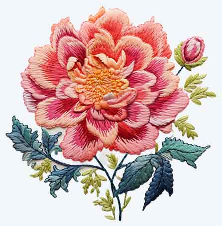 سه یعدی